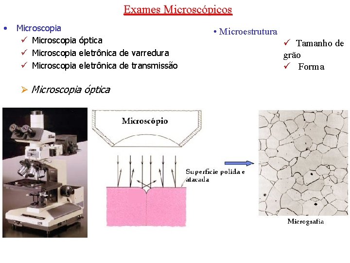 Exames Microscópicos • Microscopia ü Microscopia óptica ü Microscopia eletrônica de varredura ü Microscopia