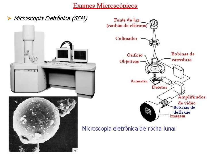 Exames Microscópicos Ø Microscopia Eletrônica (SEM) Microscopia eletrônica de rocha lunar 