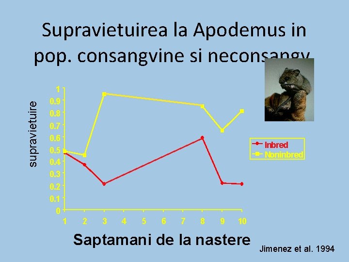 supravietuire Supravietuirea la Apodemus in pop. consangvine si neconsangv. 1 0. 9 0. 8