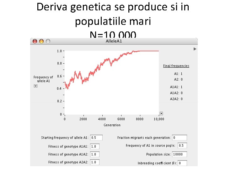 Deriva genetica se produce si in populatiile mari N=10, 000 