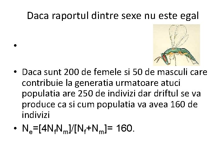 Daca raportul dintre sexe nu este egal • • Daca sunt 200 de femele