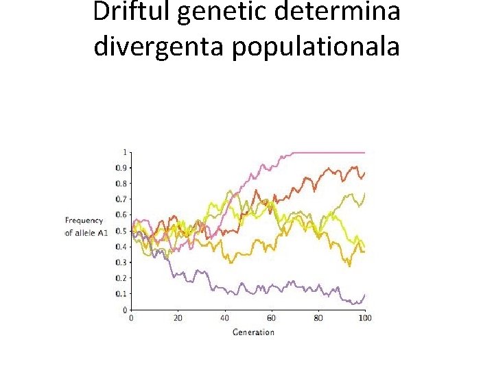 Driftul genetic determina divergenta populationala 
