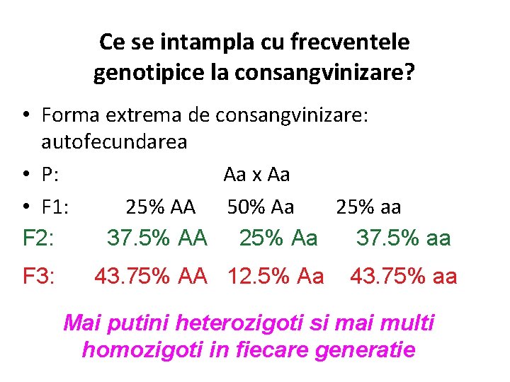 Ce se intampla cu frecventele genotipice la consangvinizare? • Forma extrema de consangvinizare: autofecundarea