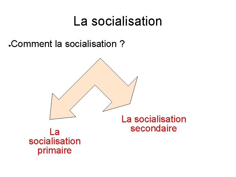 La socialisation ● Comment la socialisation ? La socialisation primaire La socialisation secondaire 