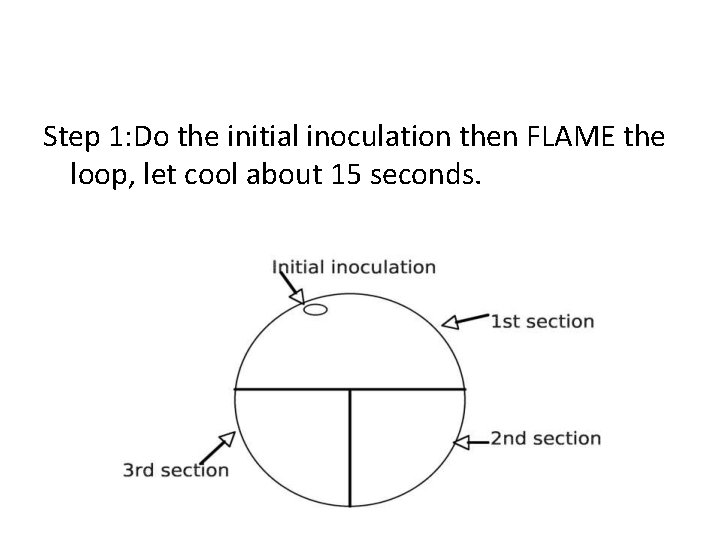 Step 1: Do the initial inoculation then FLAME the loop, let cool about 15