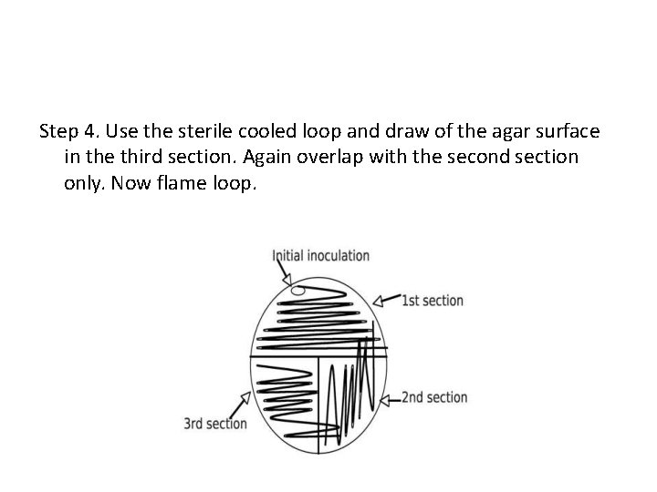 Step 4. Use the sterile cooled loop and draw of the agar surface in