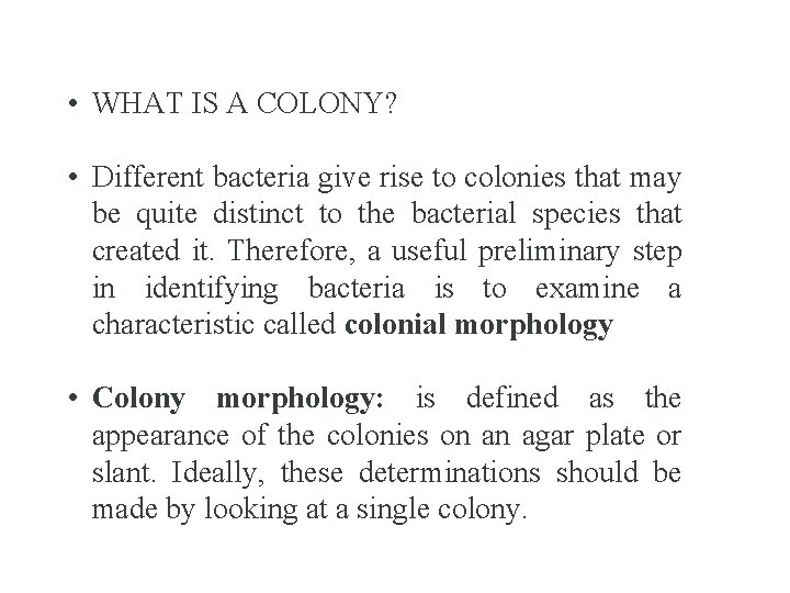  • WHAT IS A COLONY? • Different bacteria give rise to colonies that