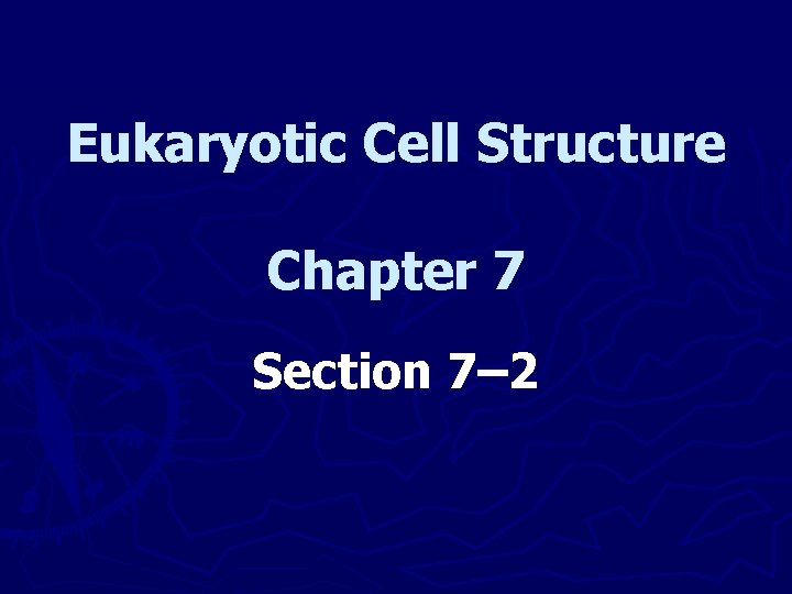 Eukaryotic Cell Structure Chapter 7 Section 7– 2 
