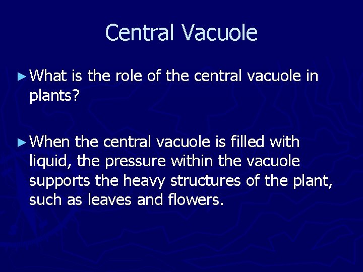 Central Vacuole ► What is the role of the central vacuole in plants? ►