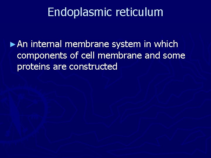 Endoplasmic reticulum ► An internal membrane system in which components of cell membrane and