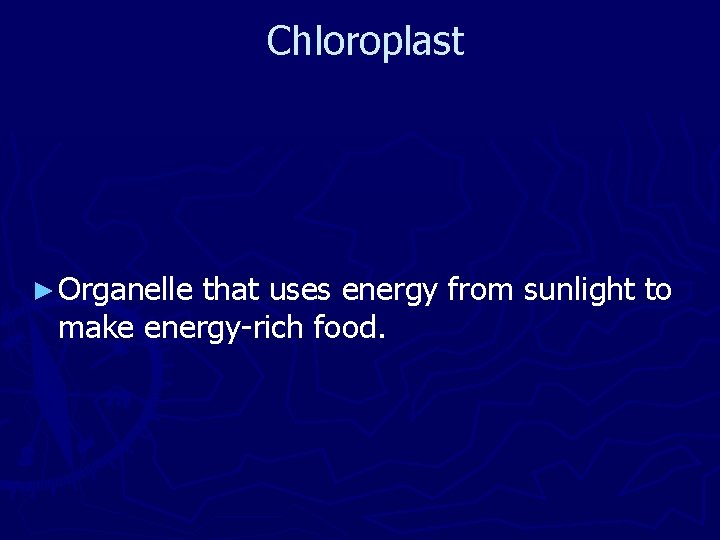 Chloroplast ► Organelle that uses energy from sunlight to make energy-rich food. 