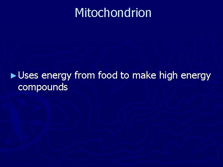 Mitochondrion ► Uses energy from food to make high energy compounds 