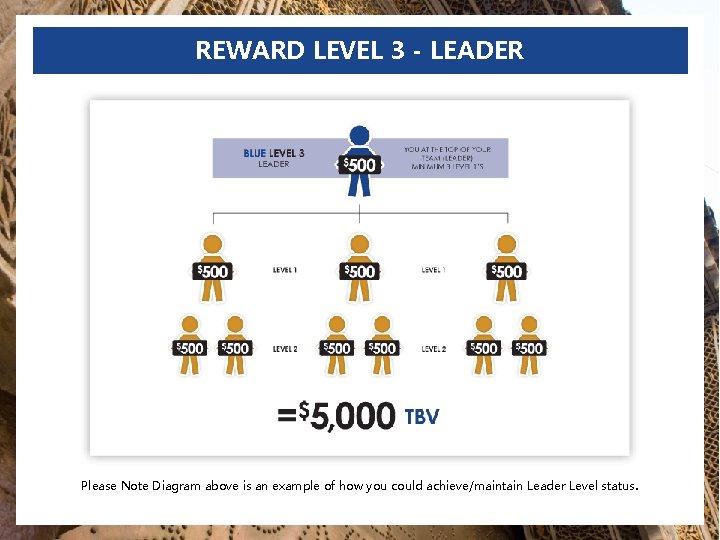 REWARD LEVEL 3 - LEADER Please Note Diagram above is an example of how