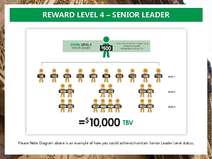 REWARD LEVEL 4 – SENIOR LEADER Please Note Diagram above is an example of