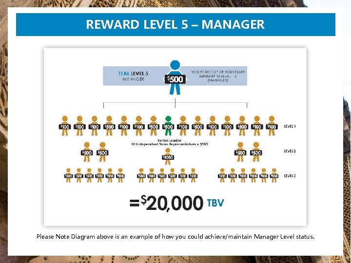 REWARD LEVEL 5 – MANAGER Please Note Diagram above is an example of how