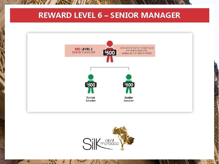 REWARD LEVEL 6 – SENIOR MANAGER 