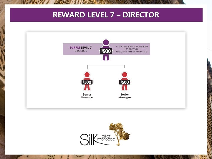 REWARD LEVEL 7 – DIRECTOR 