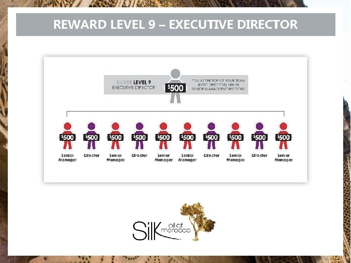 REWARD LEVEL 9 – EXECUTIVE DIRECTOR 