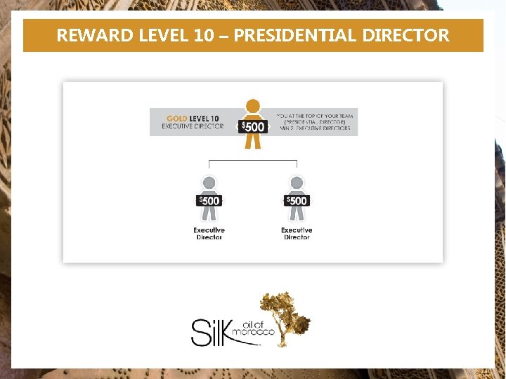 REWARD LEVEL 10 – PRESIDENTIAL DIRECTOR 