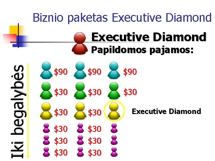 Biznio paketas Executive Diamond Iki begalybės Papildomos pajamos: $90 $90 $30 $30 $30 Executive