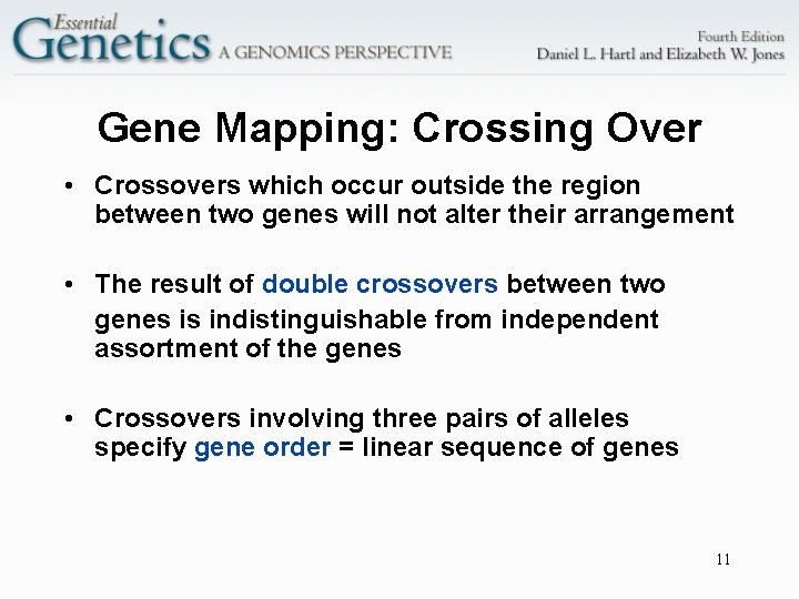Gene Mapping: Crossing Over • Crossovers which occur outside the region between two genes