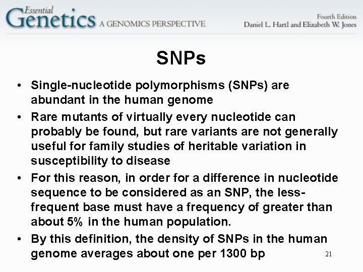SNPs • Single-nucleotide polymorphisms (SNPs) are abundant in the human genome • Rare mutants