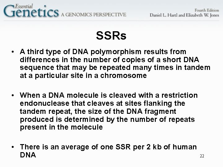 SSRs • A third type of DNA polymorphism results from differences in the number