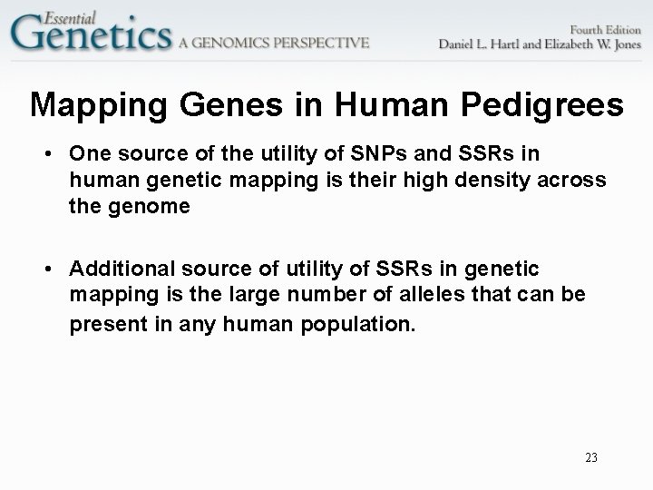 Mapping Genes in Human Pedigrees • One source of the utility of SNPs and