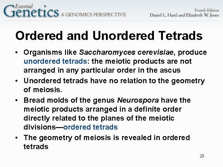 Ordered and Unordered Tetrads • Organisms like Saccharomyces cerevisiae, produce unordered tetrads: the meiotic