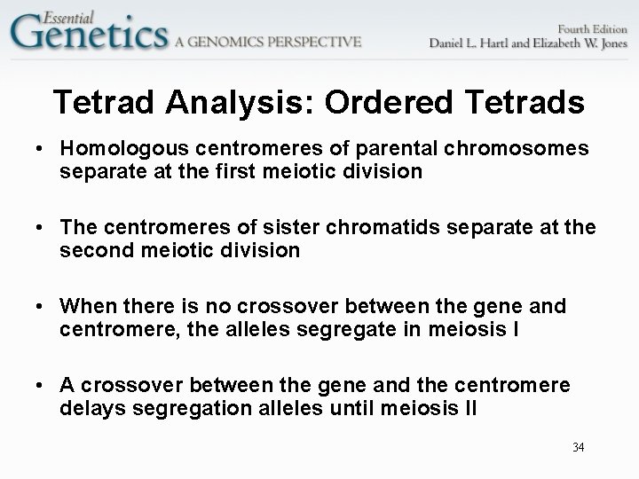 Tetrad Analysis: Ordered Tetrads • Homologous centromeres of parental chromosomes separate at the first