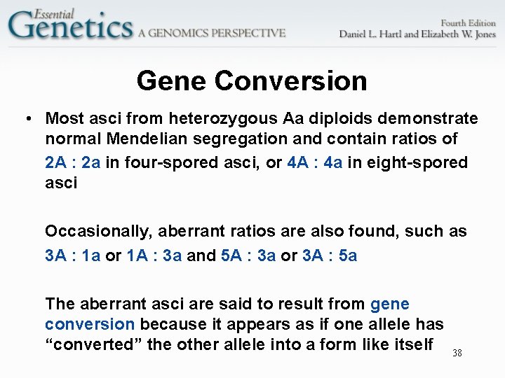Gene Conversion • Most asci from heterozygous Aa diploids demonstrate normal Mendelian segregation and
