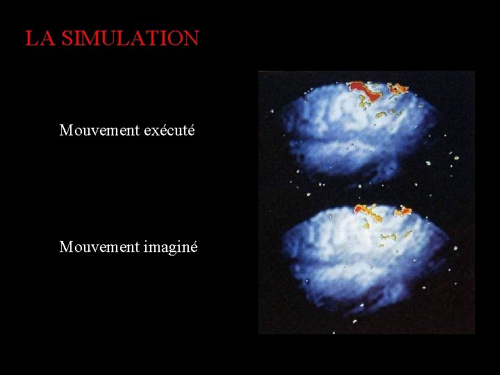 LA SIMULATION Mouvement exécuté Mouvement imaginé 