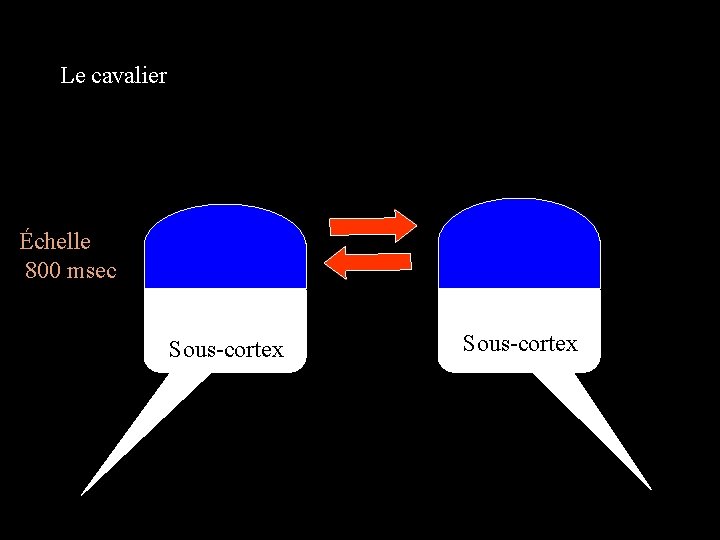 Le cavalier Cortex Échelle 800 msec Sous-cortex Cortex Sous-cortex 