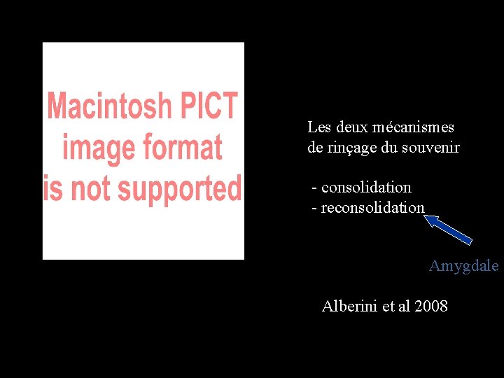 Les deux mécanismes de rinçage du souvenir - consolidation - reconsolidation Amygdale Alberini et