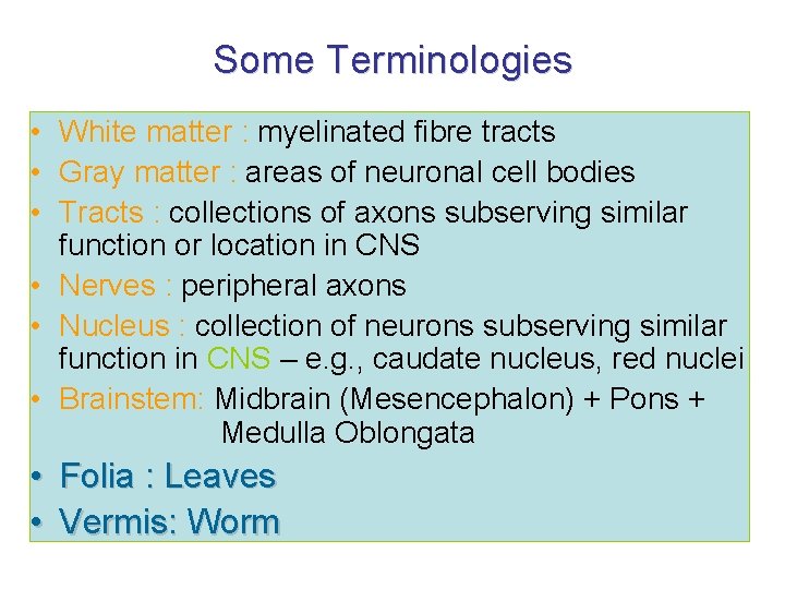 Some Terminologies • White matter : myelinated fibre tracts • Gray matter : areas