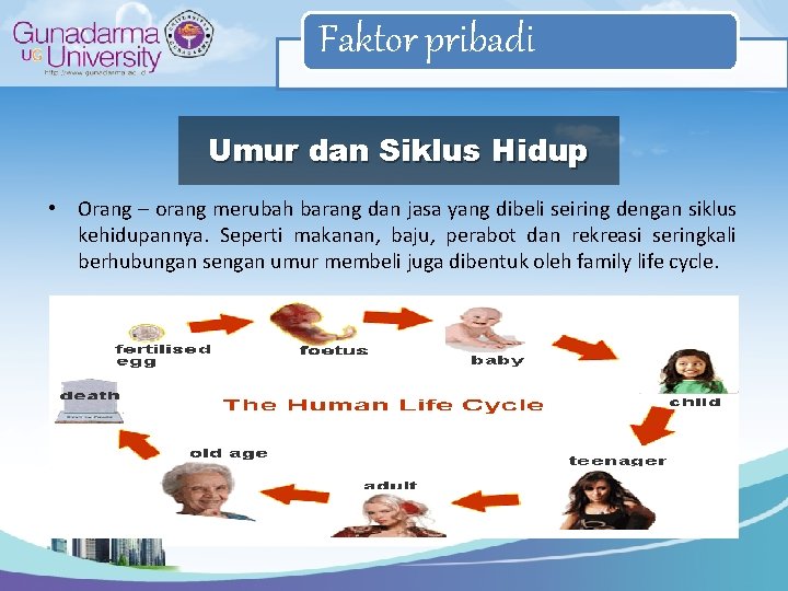 Faktor pribadi Umur dan Siklus Hidup • Orang – orang merubah barang dan jasa