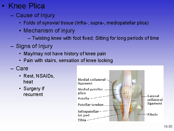 • Knee Plica – Cause of Injury • Folds of synovial tissue (Infra-,