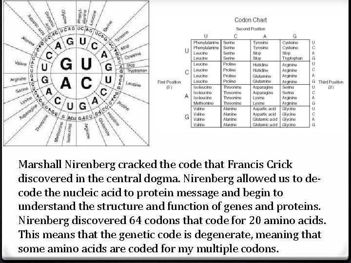 Marshall Nirenberg cracked the code that Francis Crick discovered in the central dogma. Nirenberg