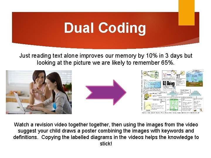 Dual Coding Just reading text alone improves our memory by 10% in 3 days