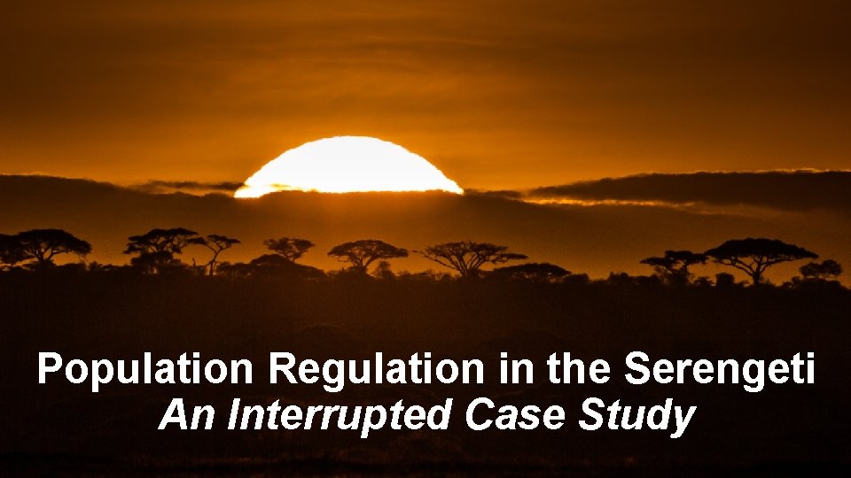 Population Regulation in the Serengeti An Interrupted Case Study Population Regulation in the Serengeti