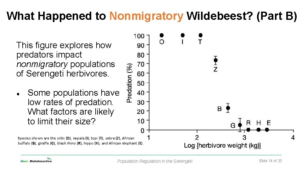 What Happened to Nonmigratory Wildebeest? (Part B) This figure explores how predators impact nonmigratory
