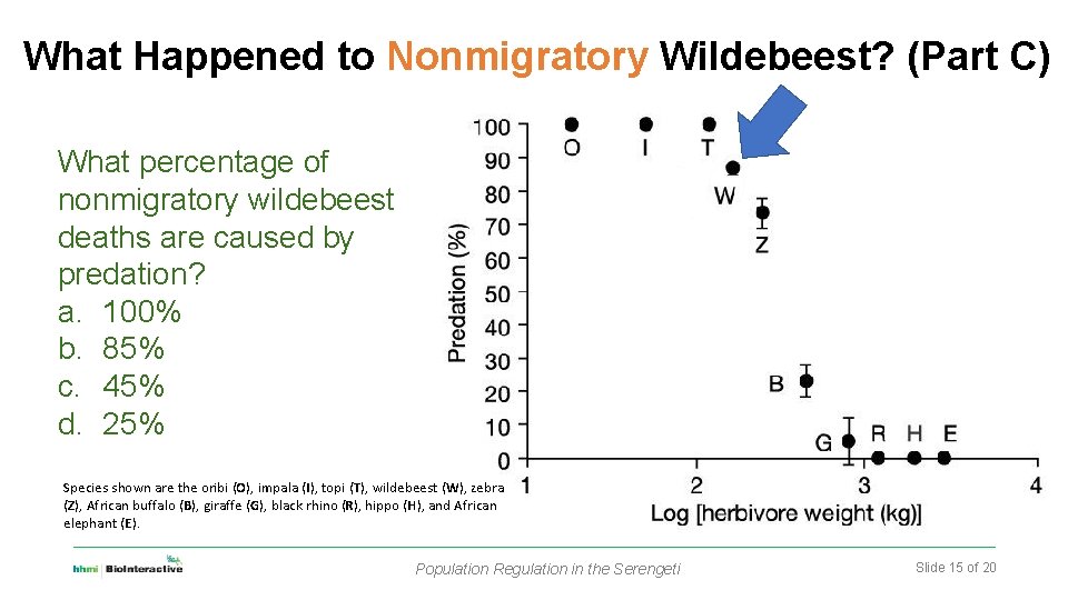 What Happened to Nonmigratory Wildebeest? (Part C) What percentage of nonmigratory wildebeest deaths are