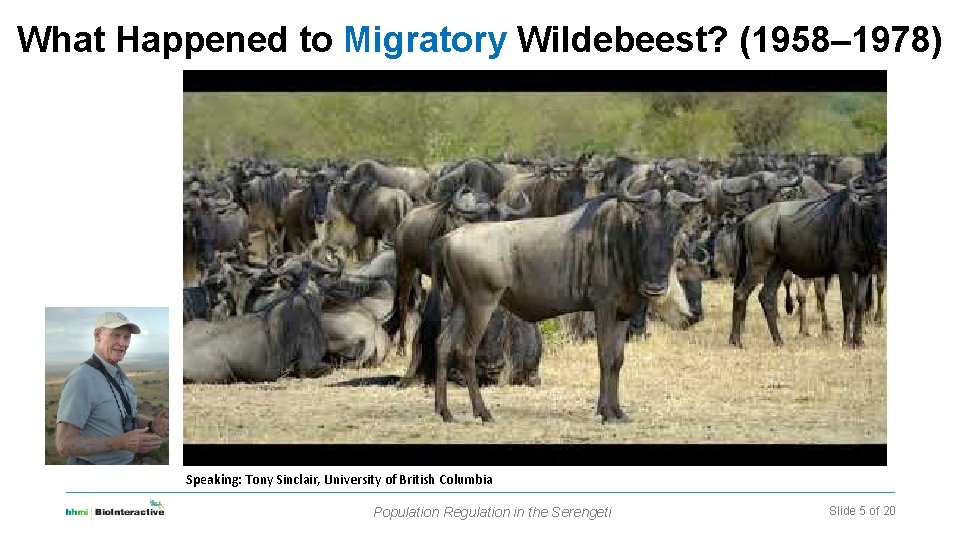 What Happened to Migratory Wildebeest? (1958– 1978) Speaking: Tony Sinclair, University of British Columbia