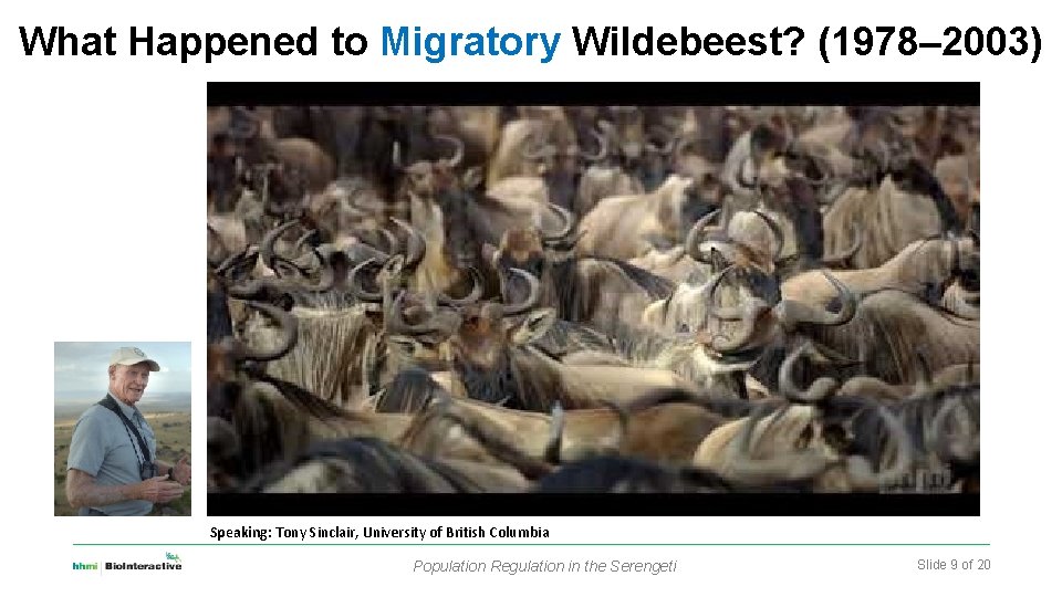 What Happened to Migratory Wildebeest? (1978– 2003) Speaking: Tony Sinclair, University of British Columbia