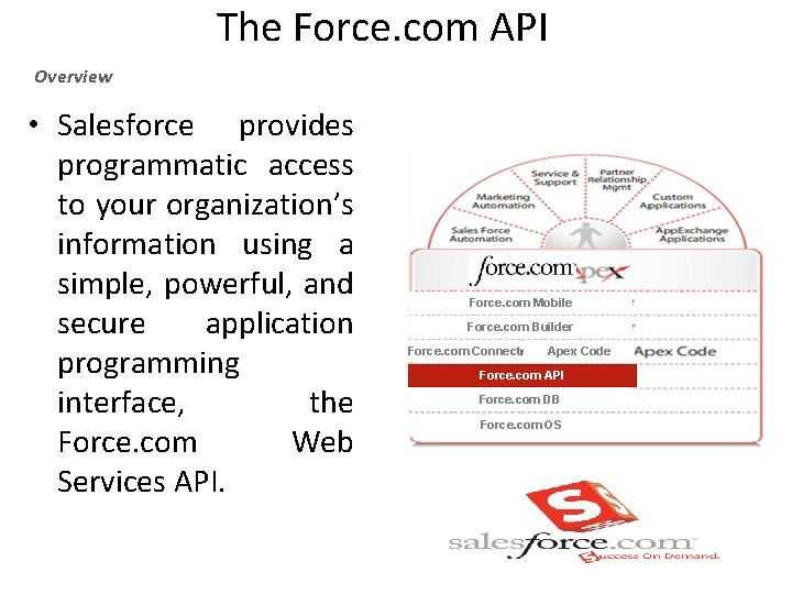 The Force. com API Overview • Salesforce provides programmatic access to your organization’s information