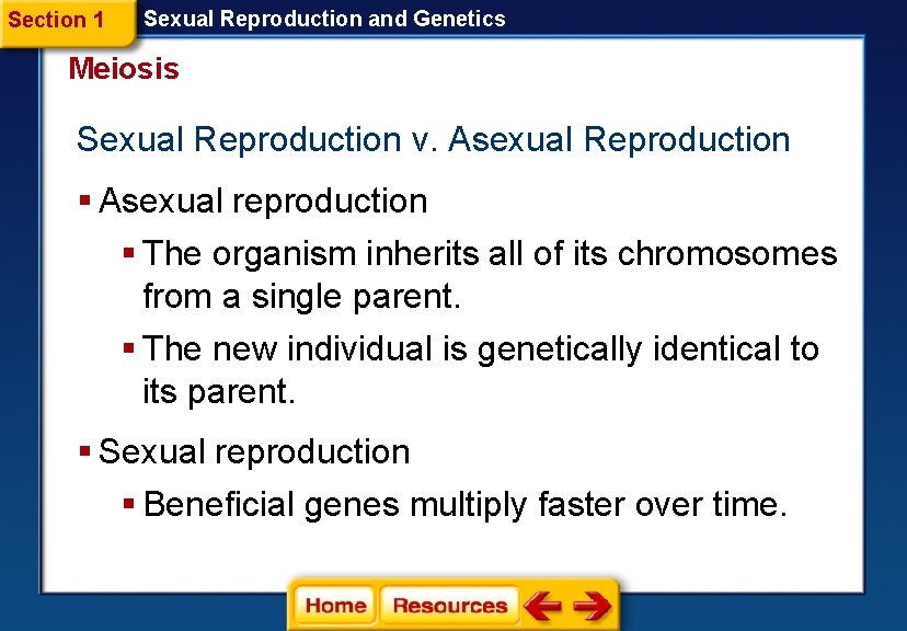 Section 1 Sexual Reproduction and Genetics Meiosis Sexual Reproduction v. Asexual Reproduction § Asexual