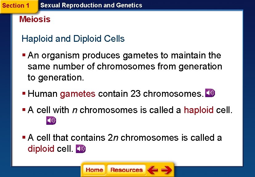 Section 1 Sexual Reproduction and Genetics Meiosis Haploid and Diploid Cells § An organism