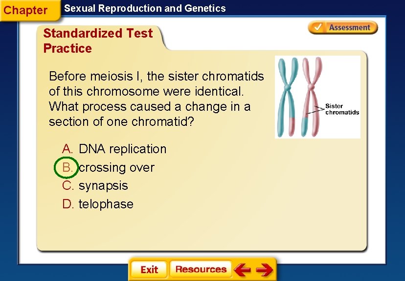 Chapter Sexual Reproduction and Genetics Standardized Test Practice Before meiosis I, the sister chromatids