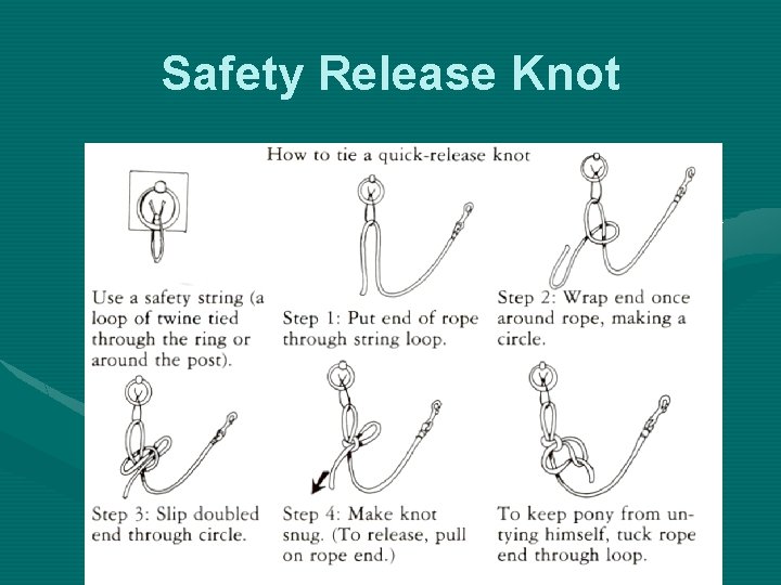 Safety Release Knot Safety Release Knot