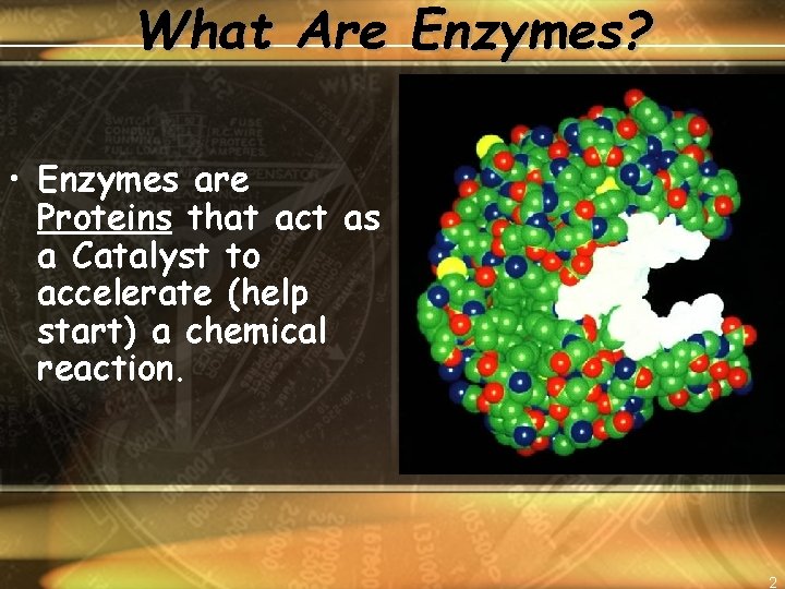 What Are Enzymes? • Enzymes are Proteins that act as a Catalyst to accelerate